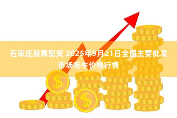 石家庄股票配资 2025年9月21日全国主要批发市场牦牛价格行情